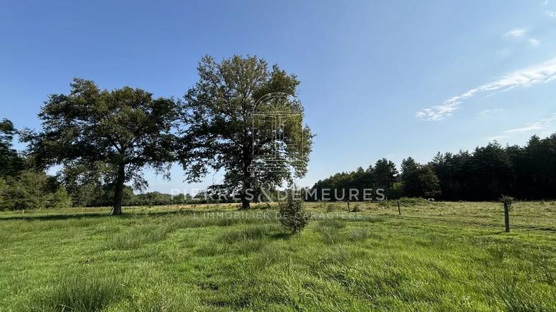 Ferme - 52 m² - 3 pièces