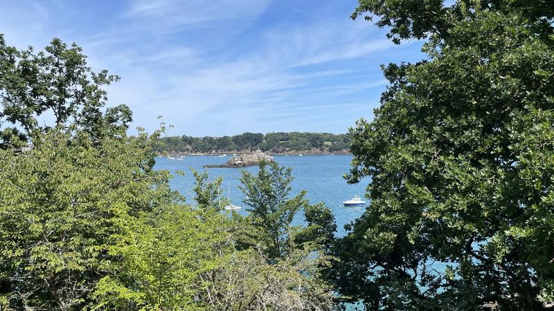 Appartement - 17 m² - 1 pièce