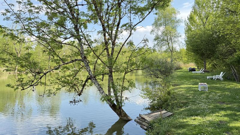 Terrain - 13 420 m²