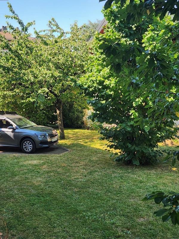 Maison - 261 m² - 11 pièces