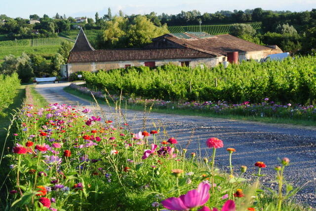 Château la Brande - "Un dimanche au Château en Fronsadais-Libournais"