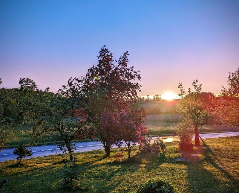 Maison - 470 m² - 12 pièces