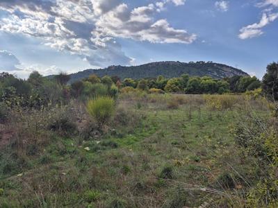 Terrain - 10 300 m²