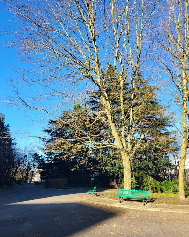 Appartement - 89 m² - 4 pièces