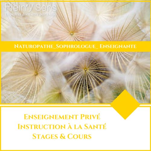 Plein'y Sens par Dalia Relaxation