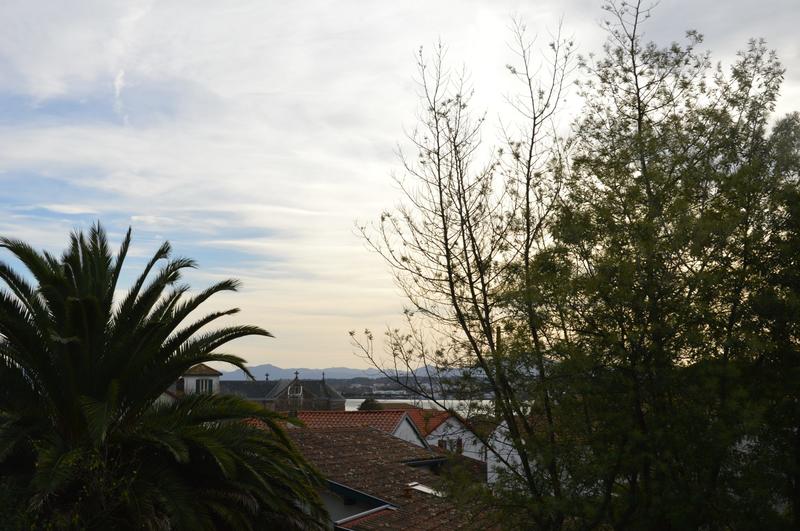 Viager - Maison - 104 m² - 4 pièces