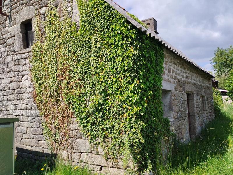 Maison - 90 m² - 2 pièces