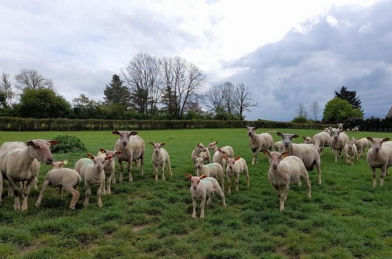 Maison - 116 m² - 4 pièces