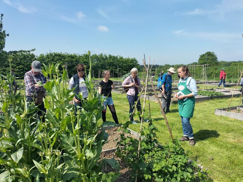 Atelier taille des fruitiers