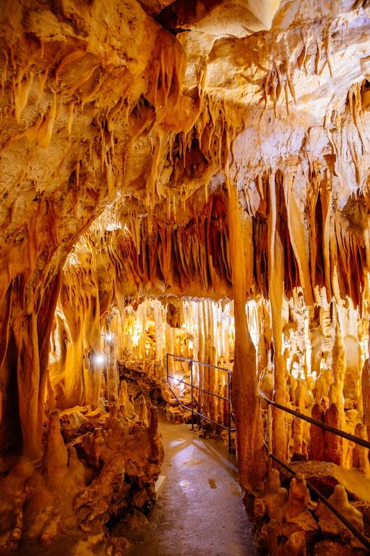 Enigme à la grotte de Villars : a la recherche d'Ayla la chamane