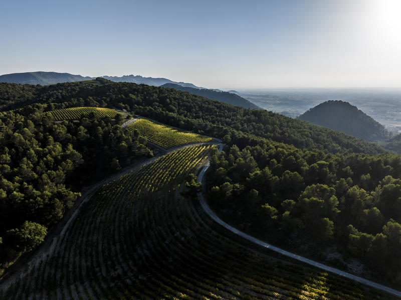 Domaine de Mourchon - Visite et Dégustation