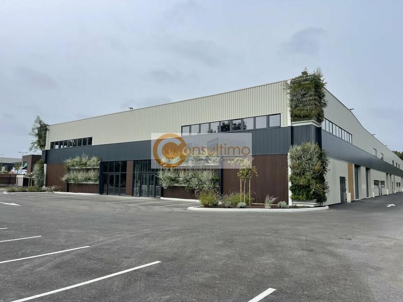 Local d'activité / Entrepôt - 521 m²