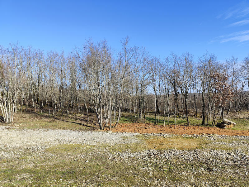 Terrain - 44 704 m²