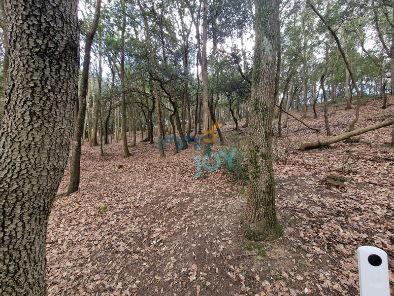 Propriété - 250 m² - 11 pièces