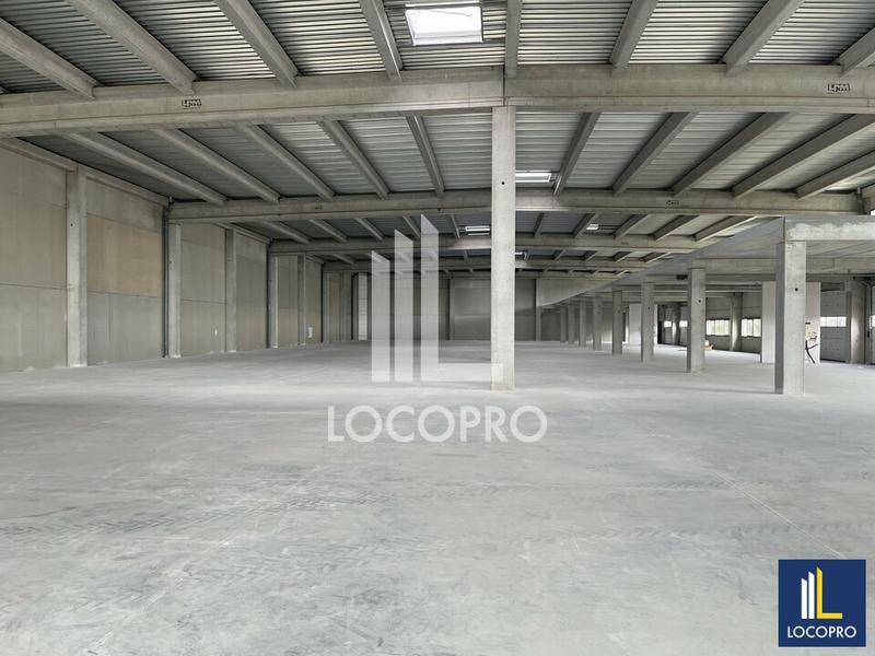 Local d'activité / Entrepôt - 3 432 m²