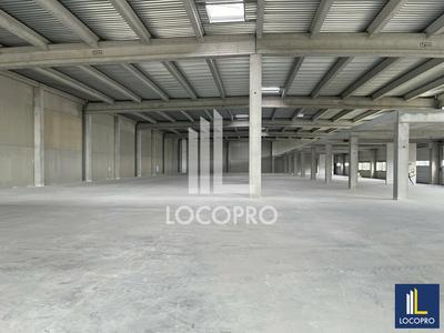 Local d'activité / Entrepôt - 3 432 m²