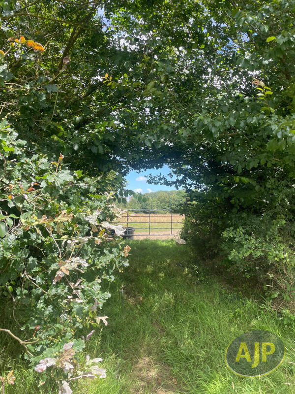 Maison de domaine équestre - 145 935 m²