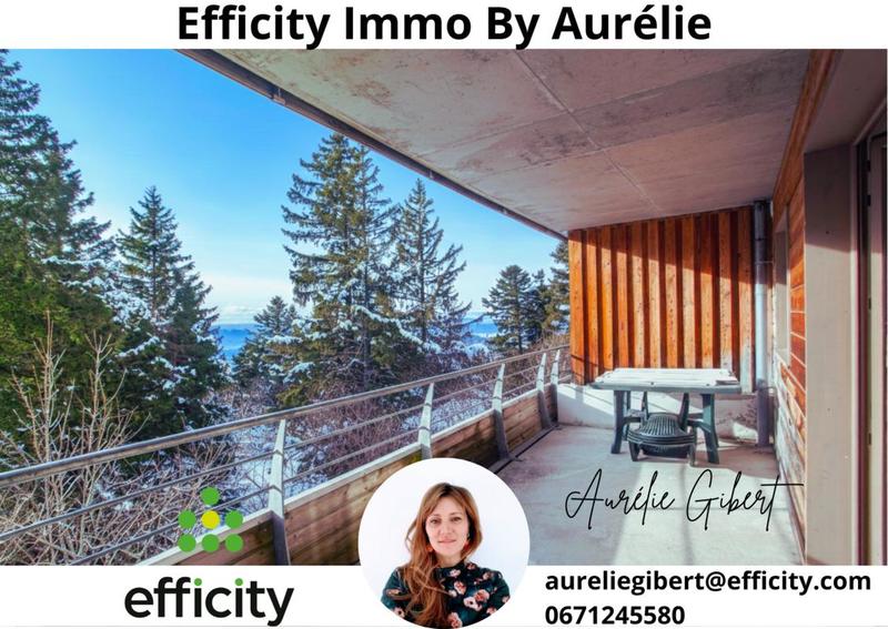 Appartement - 35 m² - 3 pièces