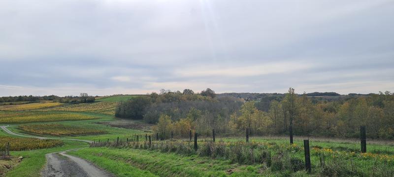 Maison de maîtres - 175 m² - 8 pièces