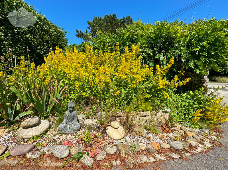 Maison - 114 m² - 5 pièces