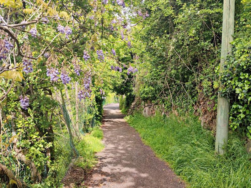 Appartement - 24 m² - 1 pièce