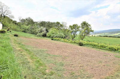 Terrain - 1 625 m²
