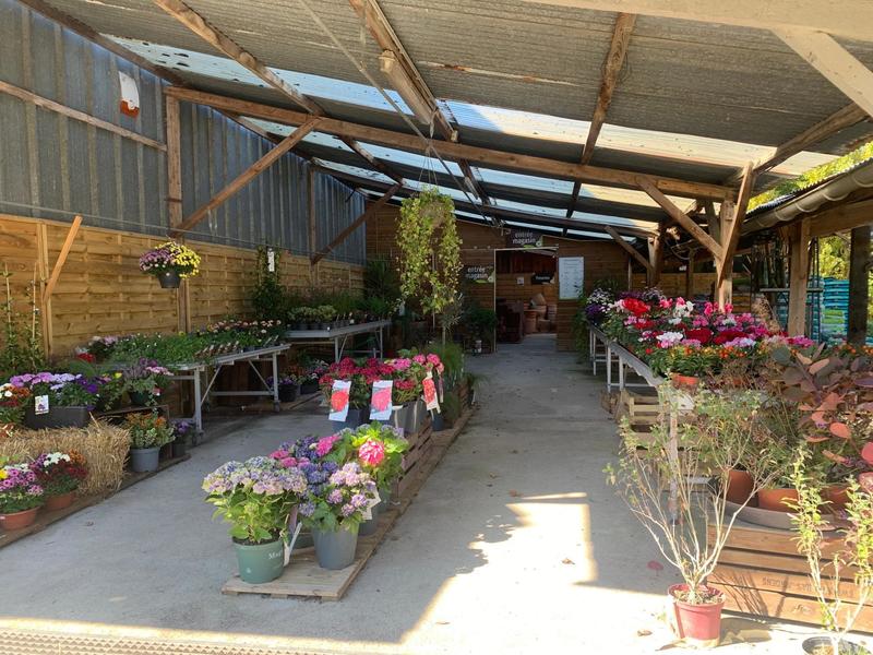 Local commercial - 450 m² - 5 pièces