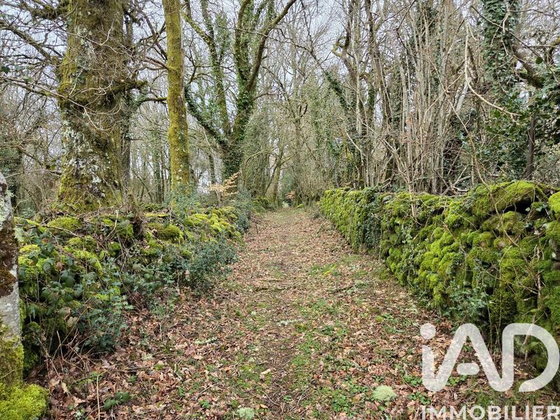 Maison de campagne - 122 m² - 5 pièces