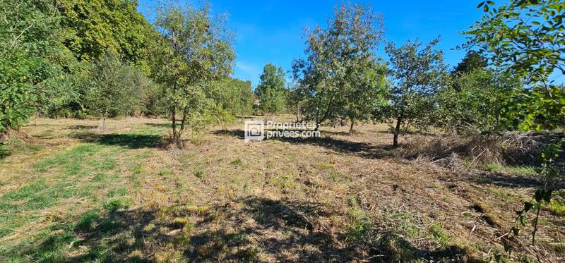 Terrain agricole - 29 154 m²