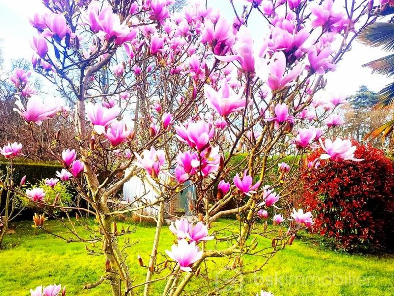 Maison traditionnelle - 120 m² - 6 pièces