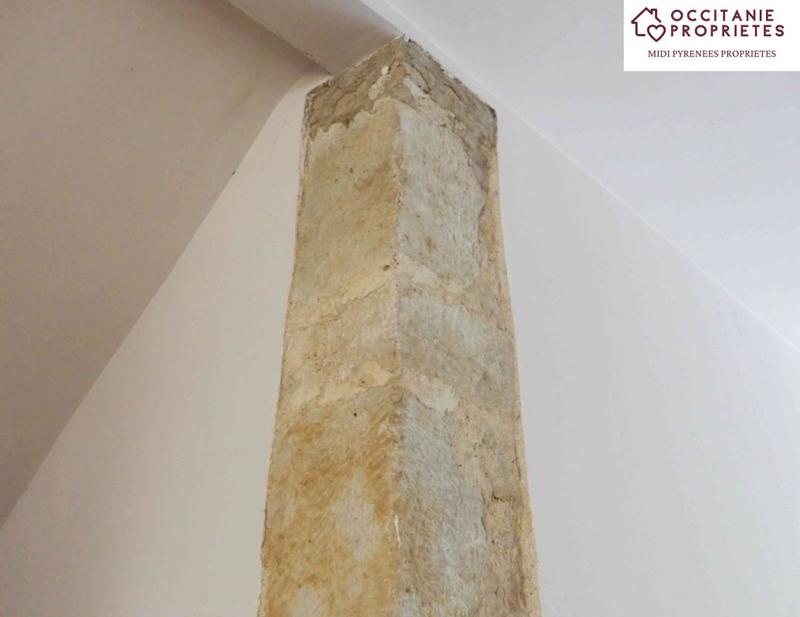 Maison de maîtres - 495 m² - 9 pièces