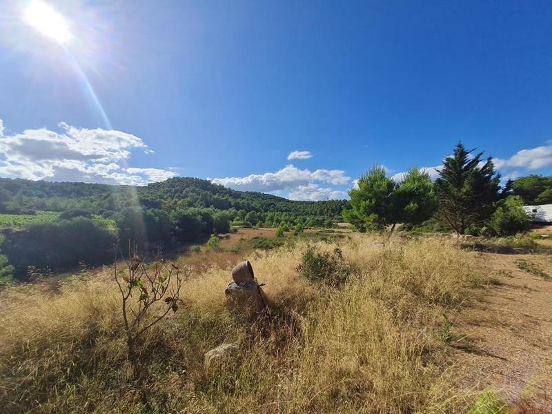 Maison - 136 m² - 5 pièces