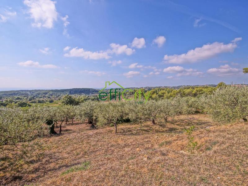 Maison - 260 m² - 7 pièces