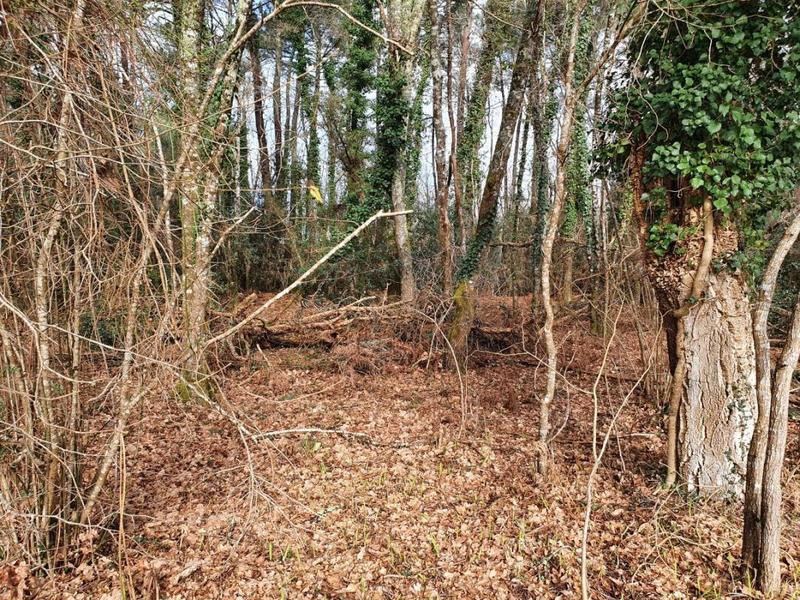 Terrain constructible - 1 700 m²