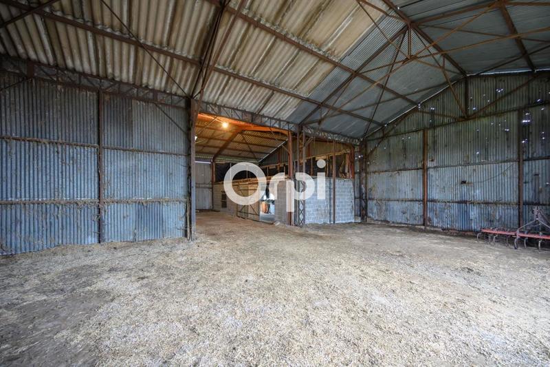 Ferme - 130 m² - 5 pièces
