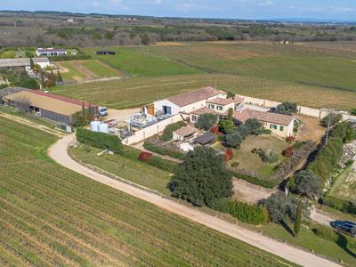 Propriété viticole - 230 m² - 7 pièces