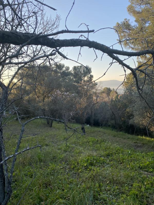 Terrain constructible - 902 m²