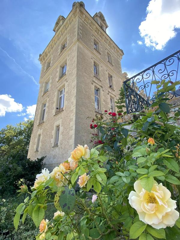 Château - 4 200 m² - 72 pièces