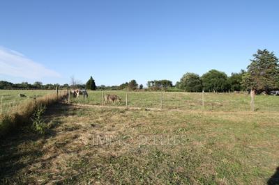 Terrain - 14 515 m²