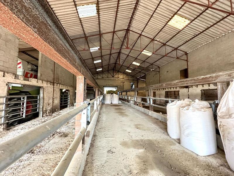 Corps de ferme - 1 600 m² - 1 pièce