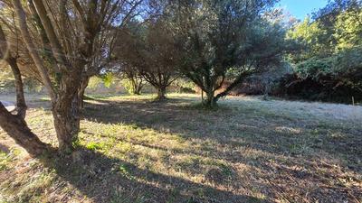 Terrain constructible - 401 m²