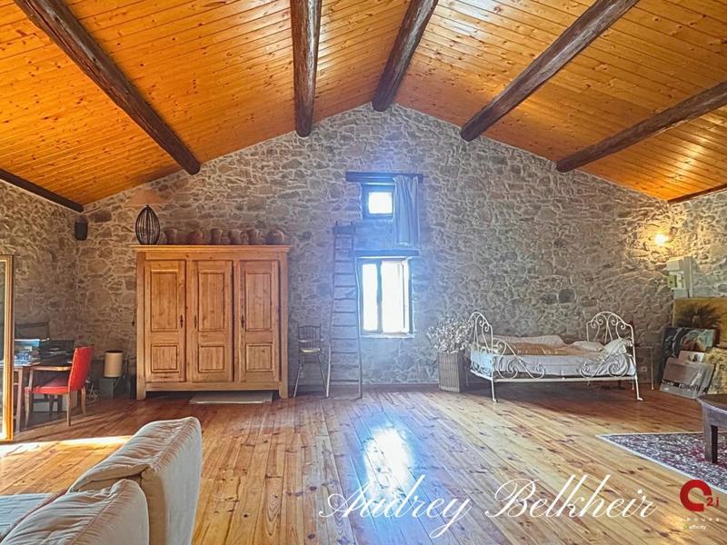 Maison en pierre - 260 m² - 7 pièces