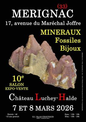 10e salon mineraux fossiles bijoux de merignac (gironde)