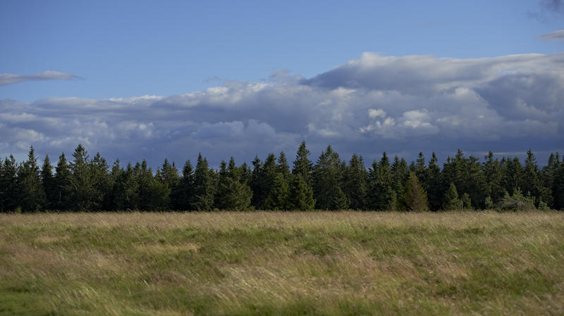 Sentiers Plaisir : Sur les traces des Anabaptistes du Haut Sommerhof