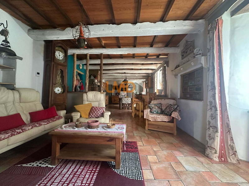 Mas - 162 m² - 10 pièces