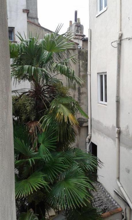 Appartement - 20 m² - 1 pièce