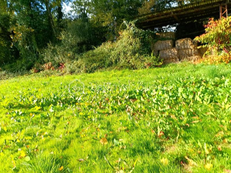 Terrain agricole - 150 960 m²