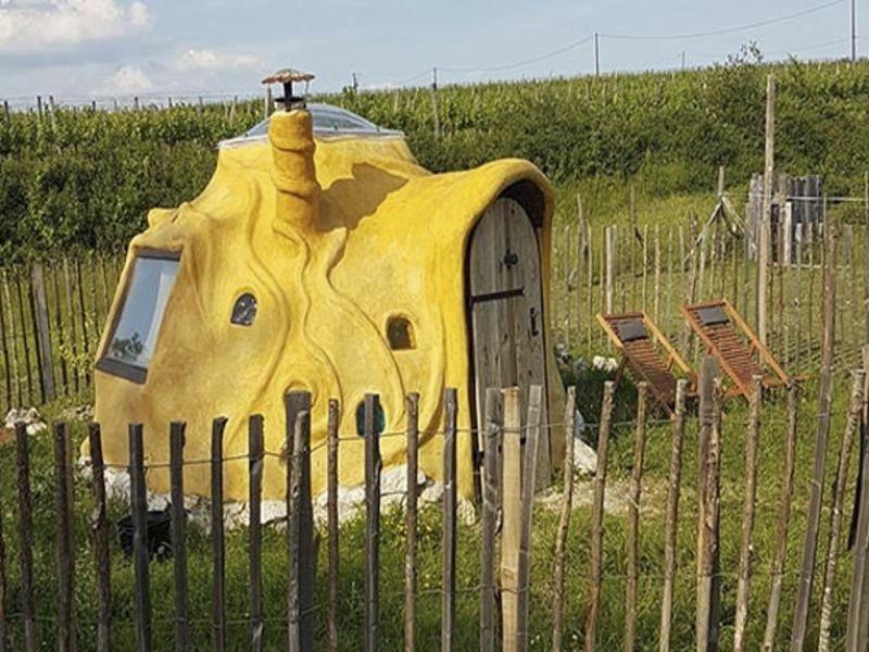 Propriété - 299 m² - 15 pièces