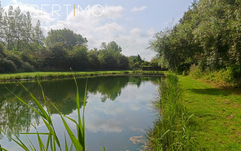 Local commercial - 12 600 m²