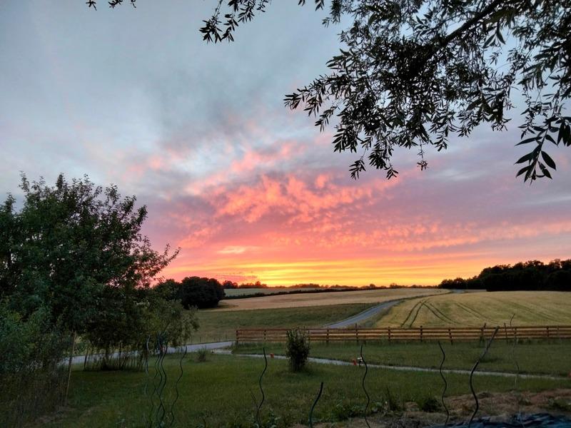 Maison - 470 m² - 12 pièces